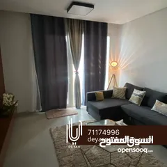  13 Luxury fully furnished 1BHK with WIFI