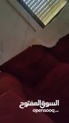  5 كنب دب امريكي لون بني وكورنر خمري  حالته ممتازه