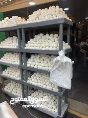  18 رفوف بلاستيك عملية واقتصادية كل رف بتحمل 100 كيلو