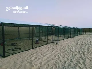  19 bird cage for garden