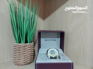  2 ساعة ويسترن ( Western ) موديل W8950GGP030F