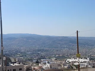  4 أرض مميزة قرب شارع الأردن ومطعم ديوان زمان