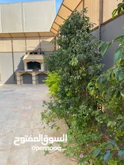  18 لاكاسا شاليه بإطلالة مميزة على البحر الميت