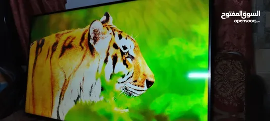  6 شاشه توشيبا 65 سمارت