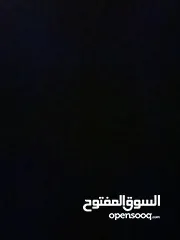  12 رقم مميز للبيع Special plate number for sale