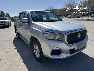  1 Mg T60 2021