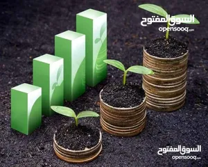  16 أستاذ محاسبة و اقتصاد حاصل على الامتياز لطلاب الجامعات