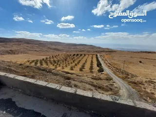  3 ارض زراعية للبيع