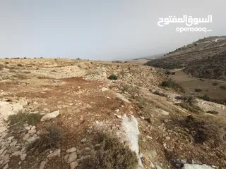  1 ارض للبيع.