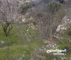  2 ارض للبيع من المالك مباشرة