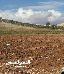 1 للبيع قطعة ارض بلعما - الزيتونة