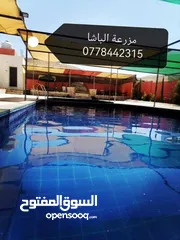  15 مزرعة وشاليه الباشا