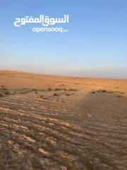  9 ارض زراعيه للبيع في طريق استوراد المفرق قرب مصنع الراجحي