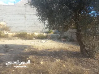  3 أرض مساحة 660 متر مطلة وعالية للبناء في ابو شخيدم