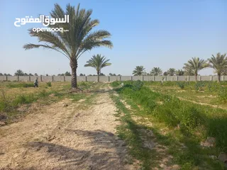  2 مزرعه 5 دونم في بغداد الرضوانيه على شارعين تبليط قرب القطاع الزراعي