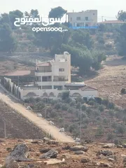 4 مزرعة للبيع جرش ام قنطره