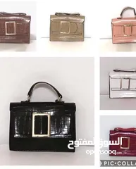  13 شروة شناتي