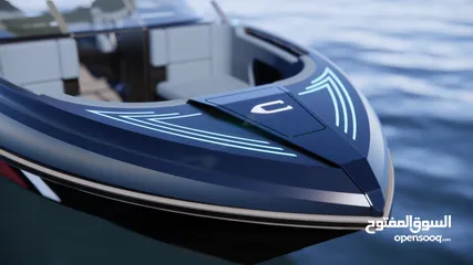  1 E-Sea Rider: 100 % Electric BOWRIDER