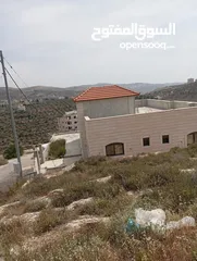  13 منزل مستقل