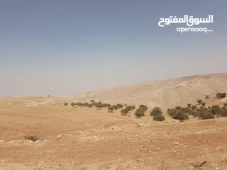  6 مادبا ماعين المشرفة قطعة ارض زراعية مميزة واصل الخدمات ذات اطلالة على البحر الميت واصل الخدمات