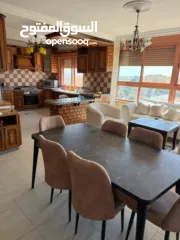  17 شقة مفروشة / الماصيون