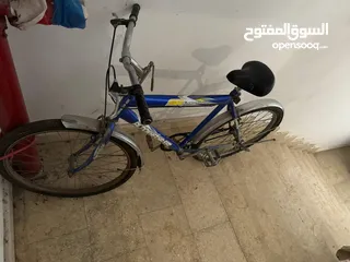  2 Adult Bicycle For sale