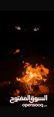  9 تويوتا خنفور 2003