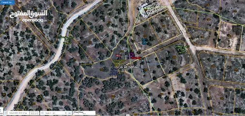  1 قطعه ارض للبيع / بلعا - طولكرم