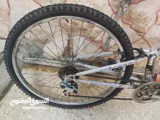  2 بيع بسكليت نمره 26 الموقع اربد حي القصيله