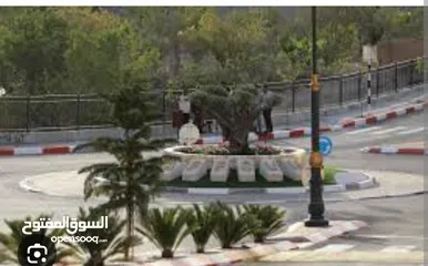  2 قطعة ارض استثمارية بتجنن ع شارع دير بحة . سعر لقطة لقطة