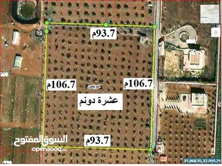  1 ""قطعة اراضي شمال عمان موبص زراعية مشجرة ثمن الدونم قابل للتفاوض واجهة كبيرة على الشارع