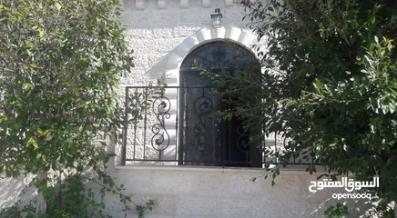  1 سليم علي سليم