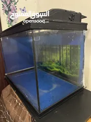  2 Camery used aquarium