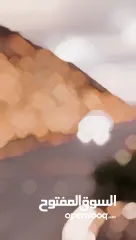  11 فورد فوكس سيدان للبيع