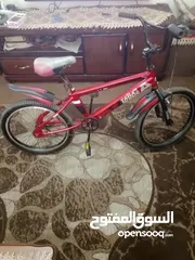  2 بسكليت امريكي
