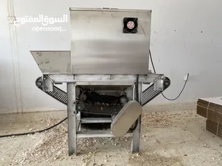  1 Automatic Peeling Machine