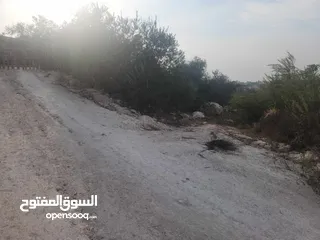  7 حصة 700 متر بالمسقوفة