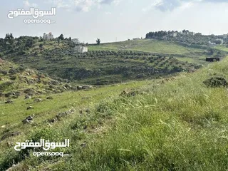  4 ارض 675 م غرب عمان/مرج الحمام/المشبك.عشارع اسفلت سكن ب 6 د عن دوار شوابكة والمريشد.منطقة خدمات وفلل