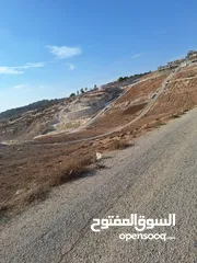  3 مساحه 590 متر عليها اقساط كل شهر 100