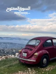  3 فولكس حبوشيت