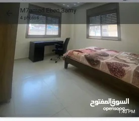  3 شقة مفروشةصغيرة للايجار رفيديا