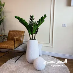  22 اجمل واحدث القواوبر