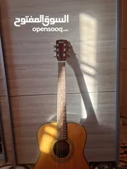  10 Acoustic Guitar Cort AF-550 NS جيتار اكوستك اصلي كورت اوتار جديدة موديل فخم للبيع