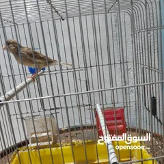  10 5 مخاليق أعمارهم 9 اشهر