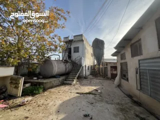  3 مشروع دواجن متكامل وجاهز للإنتاج – ليس مجرد أرض