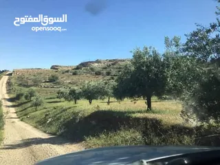  4 8 دونمات منطقة نادره قرب جرش  وممكن جزء من الثمن سياره