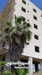  5 شقة سكنية مميزة أو العمارة كاملة