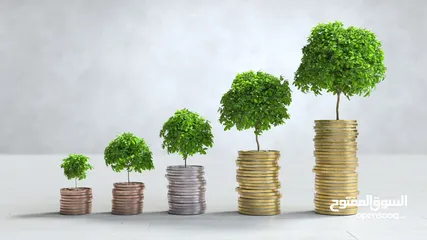  9 Investors Available Seeking For Investment Partnership And Funding for Established Businesses