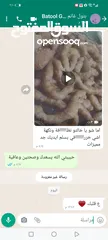  29 طعام جاهز  بيتي