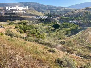  4 قطعة أرض زراعية مخدومة للبيع في السلط تصلح للمشاريع الاستثمارية